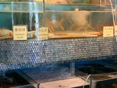 -香港东海海鲜酒家