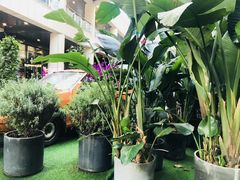 -源本清茶(顺城购物中心店)