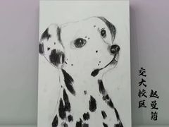 -缤纷鸟美术书法(交大校区)