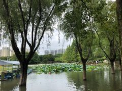 -白塘生态植物园