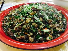 -东吴霸王兔(松青路店)