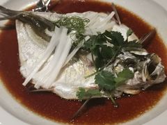 -宁波柏悦酒店·钱湖渔港