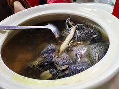 纳米滋补炖乌鸡-特味村福园