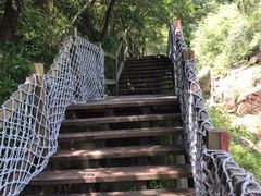 -广州白江湖森林公园