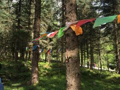 -硗碛藏寨·神木垒景区