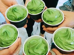 -雪绿茶博物馆