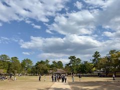 -奈良公园