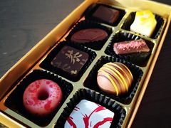 -新加坡瑞士史丹福酒店