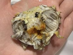 -半岛听涛蒸汽海鲜自助(K11店)