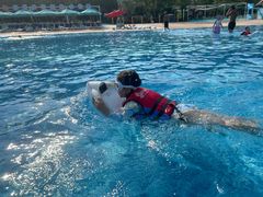 -苏州乐园森林水世界