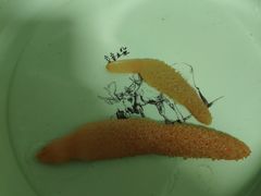 -天津东疆湾沙滩景区