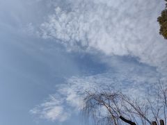 -新江湾城公园