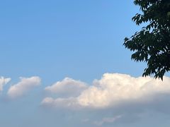 -桂溪生态公园