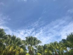 -100蛋泥浆浴
