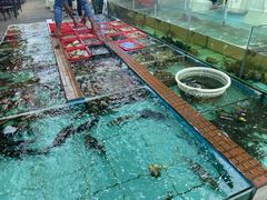 水产区-景好海鲜餐厅(大鹏必选旅游店)