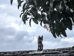 -玉湖村