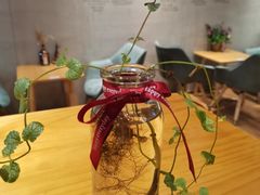 -ZING COFFEE 镜咖啡