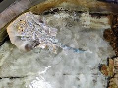 -嘉兴海底世界