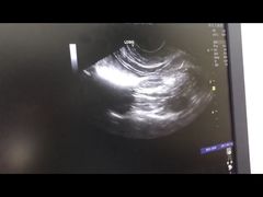 -爱妮康宠物医院·干细胞免疫细胞·肿瘤·心脏(张江店)