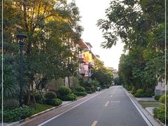 -美的鹭湖森林度假区