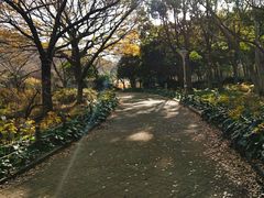 -汉拿树木园