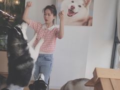 -Husky Go! 哈士奇体验馆·宠物咖啡厅狗咖