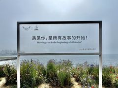 -燕儿岛山公园