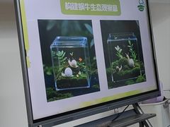 -嘉北郊野公园