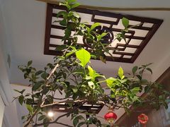 -山水茶艺馆·点心粤菜·30年老字号