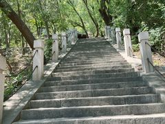 -北京凤凰岭