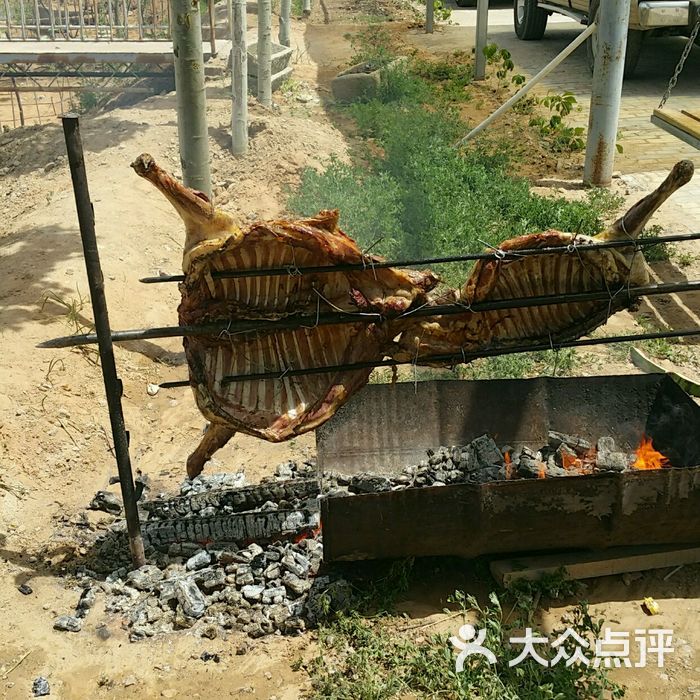 红柳山庄图片-北京采摘/农家乐-大众点评网