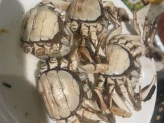 -宴立方海鲜自助(义乌万达广场店)