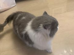 -悠尼宠物·独立低压伊珊娜洗护·美容·寄养(兰谷路店)