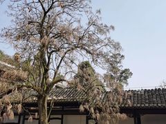 -阳明祠