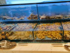 -冀粤香海鲜自助餐厅(西美五洲店)