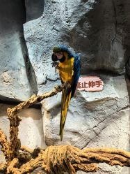 点击看大图 -Zoolung Zoolung动物主题公园(海信广场店)