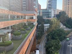 -香港大学
