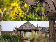 -莱阳濯村樱花园