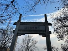 -紫金山山顶公园