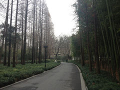 iphone_upload_pic-杭州西湖柳莺里酒店