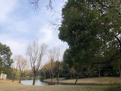 -上海滨江森林公园