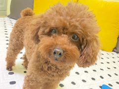 -宠颐生动物医院·心脏科·保险定点(锦阳分院)