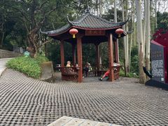 -黄埔油麻山森林公园