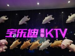 -宝乐星量贩KTV(莲升路店)