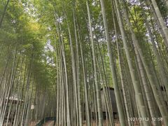 -宝岩生态观光园