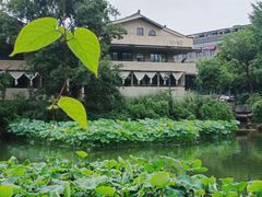 -朴墅(西湖青芝坞店·杭帮菜·家宴.14年的店)