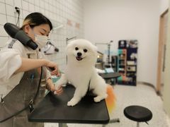 -BABIT巴比特宠物(MOMOPARK店)