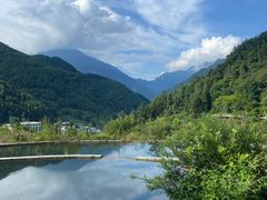 -卧龙中华大熊猫苑神树坪基地