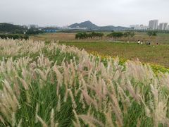 -光明小镇欢乐田园