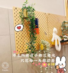 -诗安嘉康月子中心(金阳店)